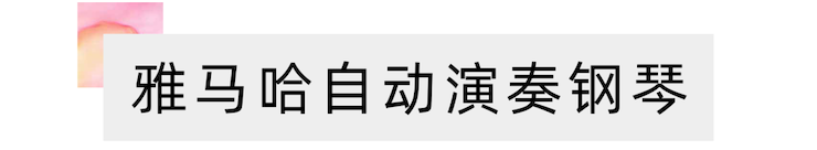 活动报道 | 远程艺术教育大师课活动——合乐HL8特邀艺术家张奕明大师课